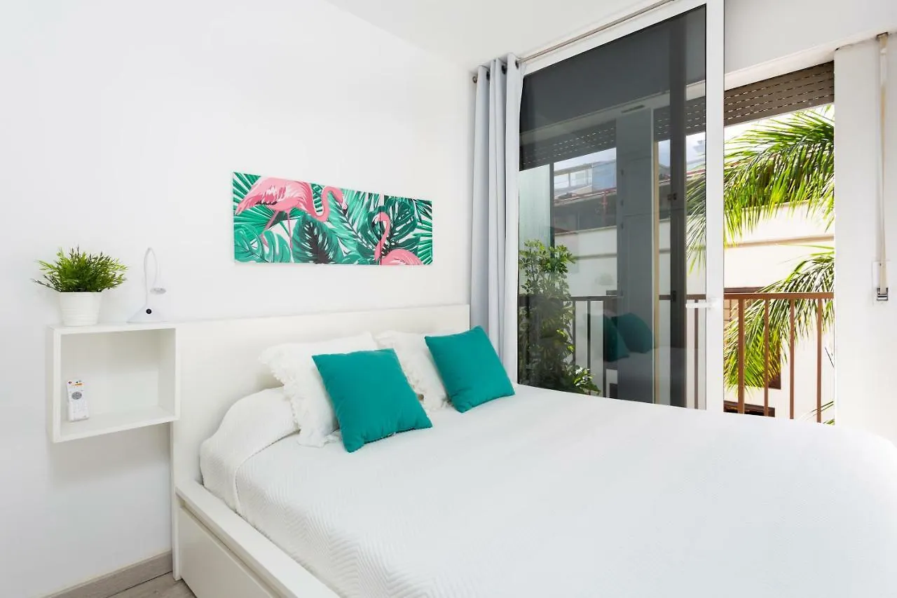 Monkey House Apartment Santa Cruz de Tenerife